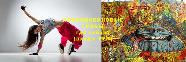 ПСИЛОЦИБИНОВЫЕ ГРИБЫ Алексеевка
