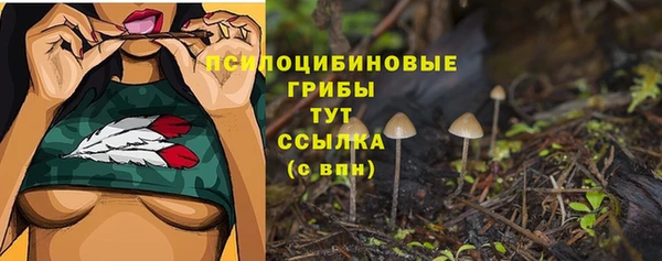 героин Алзамай