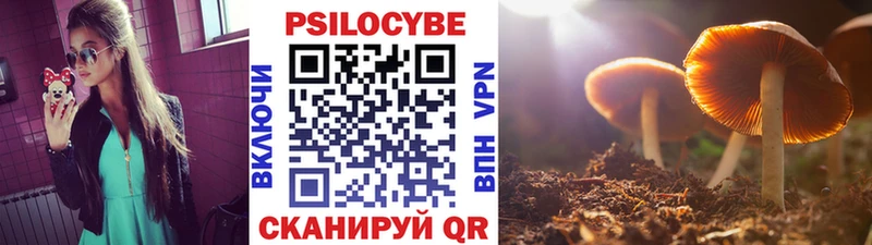Галлюциногенные грибы MAGIC MUSHROOMS  Каргат 